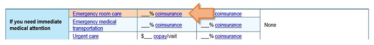 Screenshot of example plan with arrow pointing to emergency room services co-pay row